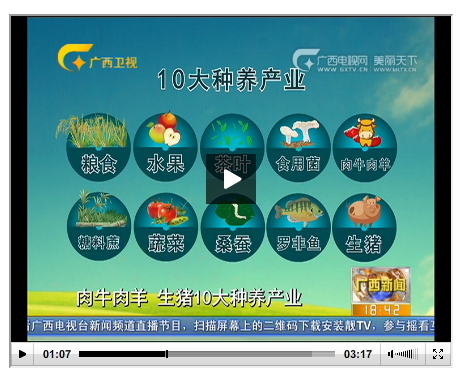 QQ截图20150828161044.png